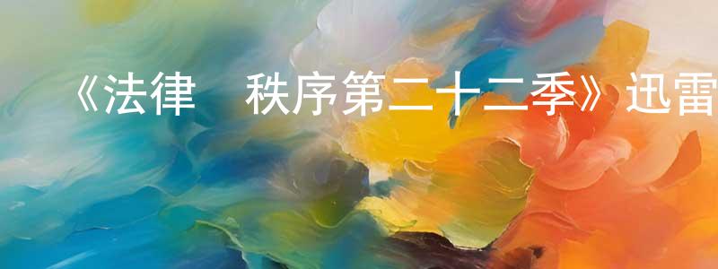 影視迷陳炳昶的個人博客,《法律與秩序第二十二季》迅雷下載/在線觀看-犯罪歷史-美劇天堂